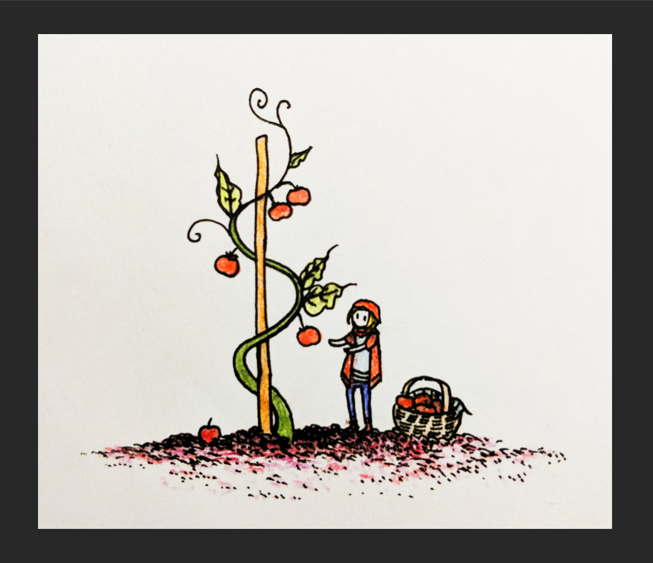A large tomato vine twists around a wood stalk. A person in a red hoodie looks up at the tomato vine, with an oversized basket of tomatoes nearby.
