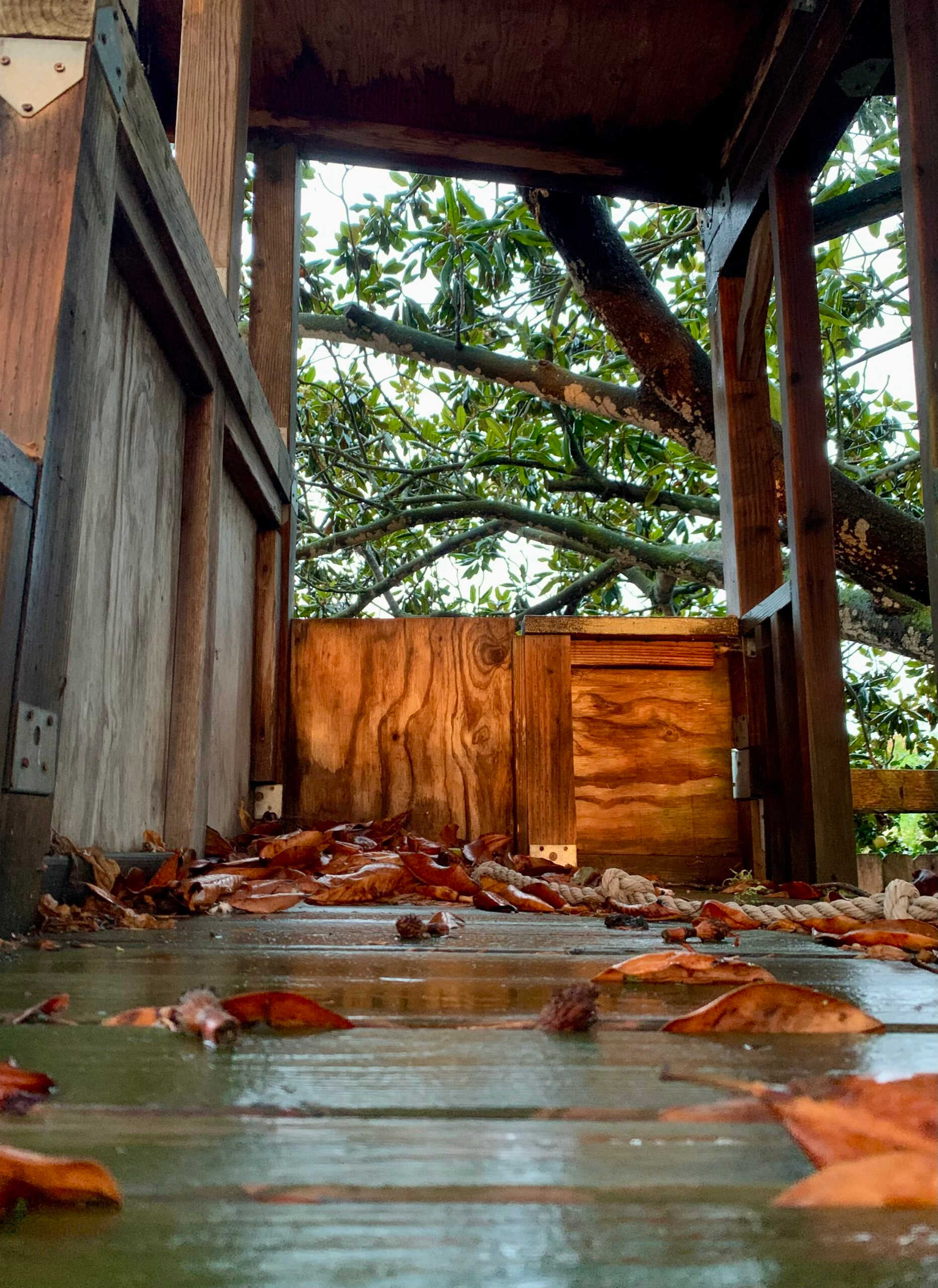 Dry leaves lay scattered in small piles on a rain-soaked porch. The sky is cloudy.